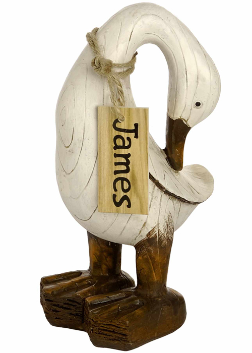 3625 Shabby Chic Indian Runner Duck Bird Figurine Ornament JAMES Name