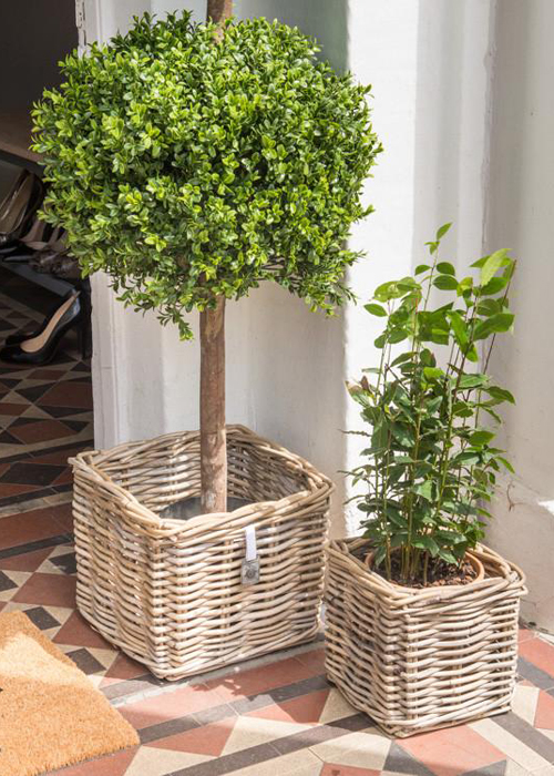 Natural Woven Wicker Grey Brown Square Basket Herb Plant Planter Set of 2 …