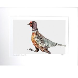 GP14 2 Running Country Pheasant Fine Art Print