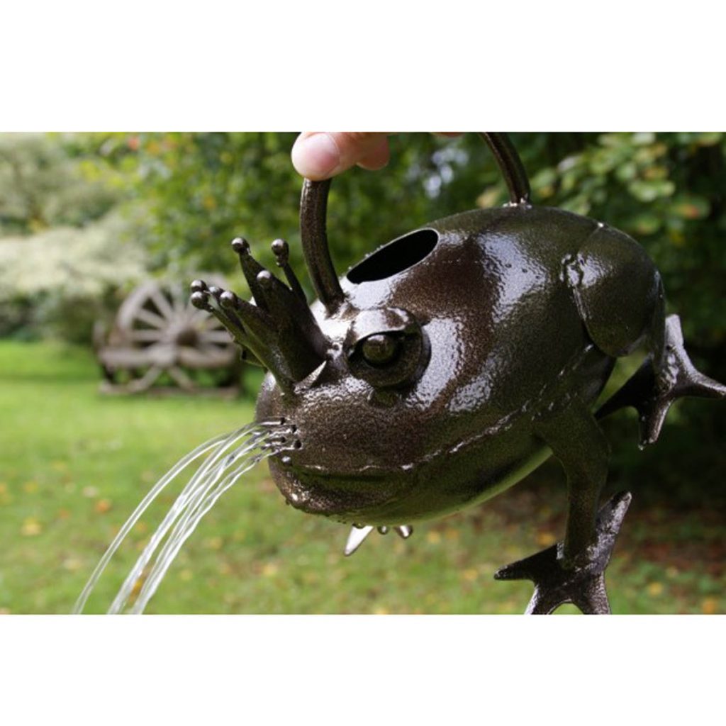 420042_1 Hand Crafted Frog Prince Watering Can